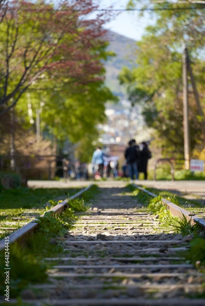 Obraz 폐쇄된 기차 선로 위를 걷는 사람들과 선로 사이로 자란 잔디