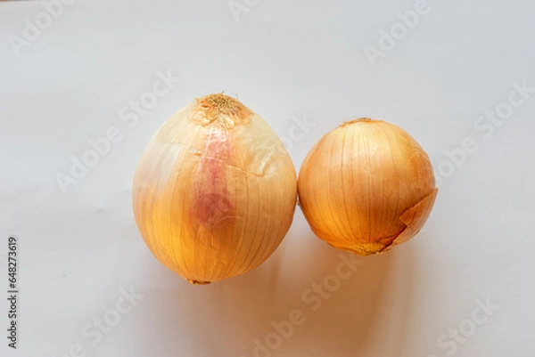 Obraz head onion