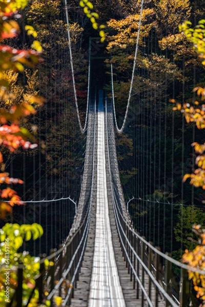 Obraz 紅葉の畑薙大吊橋