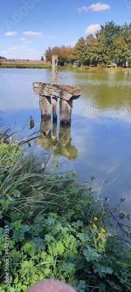 Obraz lake in the forest
