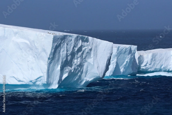 Obraz iceberg in polar regions