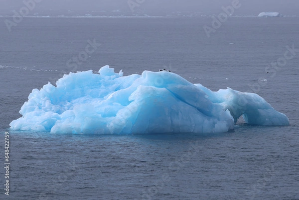 Obraz iceberg in polar regions