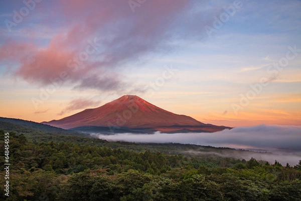 Fototapeta 山中湖パノラマ台から富士山と雲海