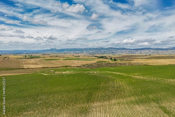 Obraz green field with mountain view