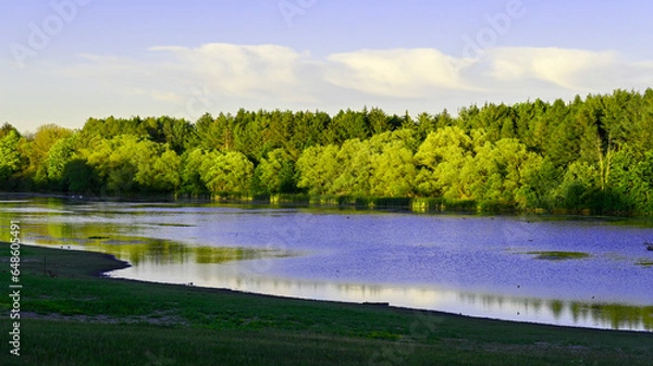 Obraz landscape with river and trees