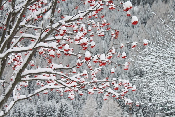 Obraz Winter landscape