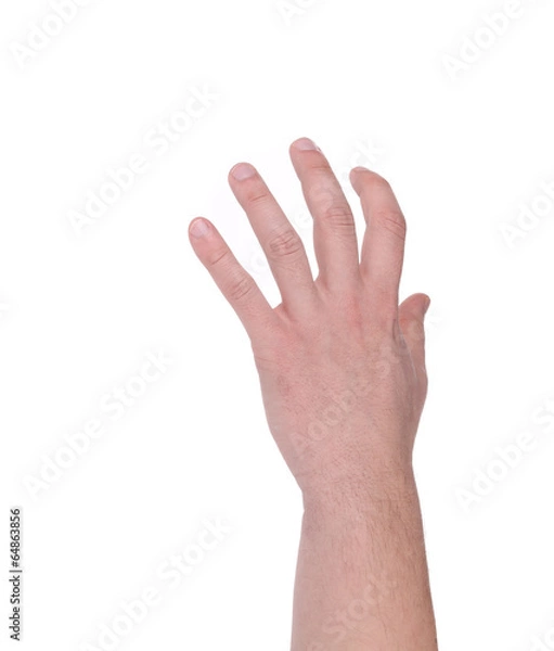 Fototapeta Hand holding something.