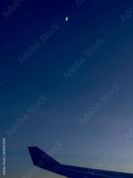 Obraz airplane in the night sky