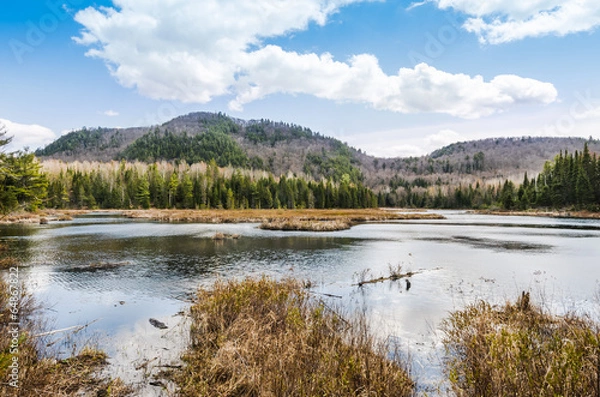 Obraz Lac dans la nature
