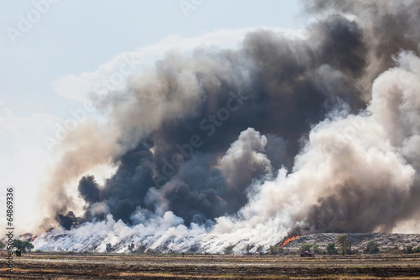 Fototapeta Burning garbage heap of smoke