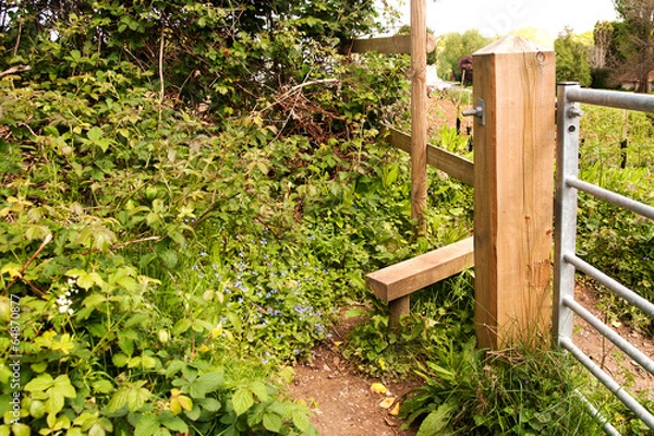 Fototapeta Stile among brambles