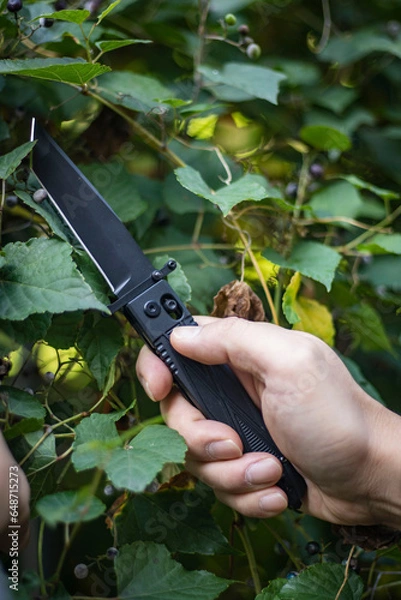 Fototapeta EDC Folding Knife