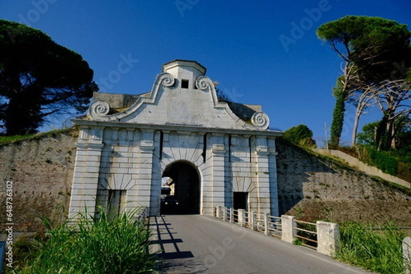 Obraz パルマノバ