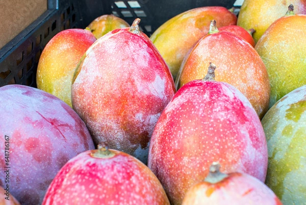 Obraz Spanish Mango: A Taste of Paradise.