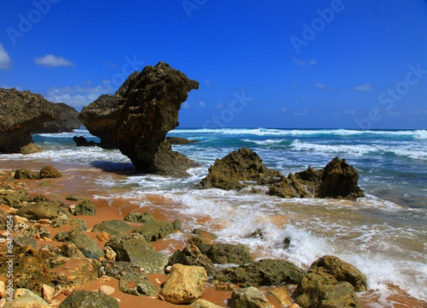Obraz bathsheba barbados