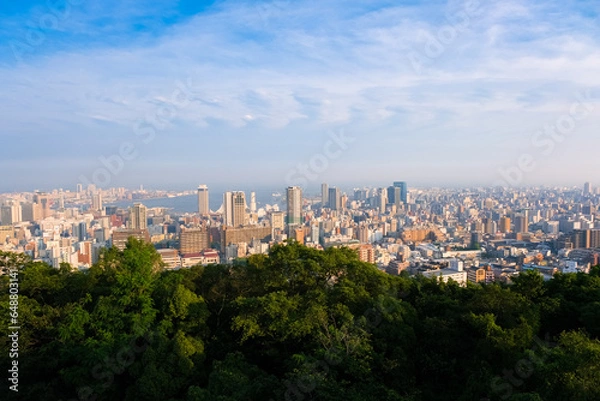 Fototapeta 兵庫県神戸市 ビーナステラスから見る夕暮れの神戸市