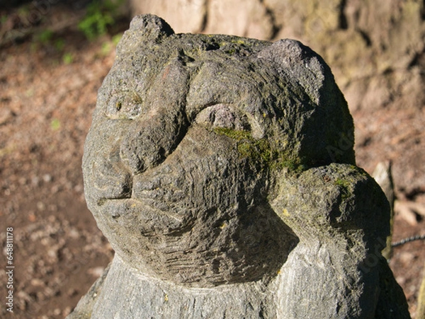 Fototapeta Statue de chat