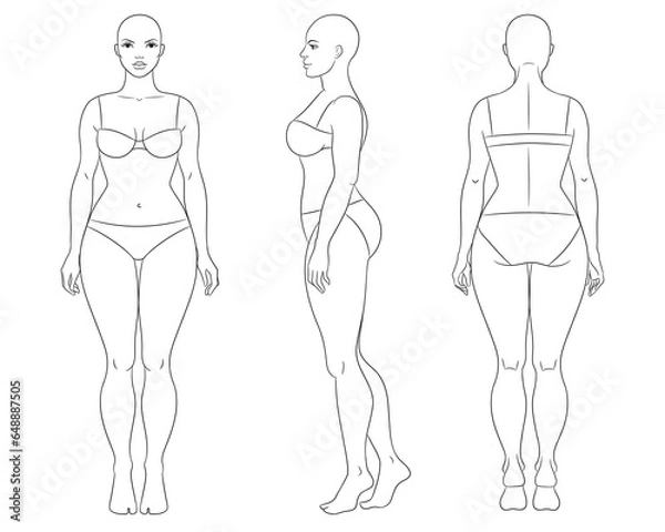 Fototapeta Plus size female fashion figure templates. Curvy woman body vector line illustration, front, side, and back views. Curvy fashion model croquis.