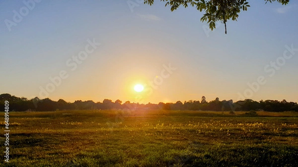 Obraz setting sun over field in summer