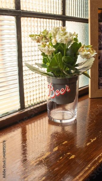 Obraz plant pot in a glass on a windowsill with natural light on it through the glass