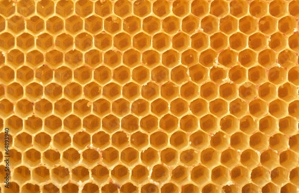 Obraz Tło plastra miodu