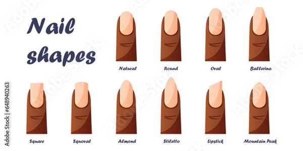 Fototapeta Set of nail shapes - oval, square, almond, stiletto, ballerina, squoval. Guide different forms, types of manicure nails. Professional salon trends, beauty and care. Classic instruction. Vector