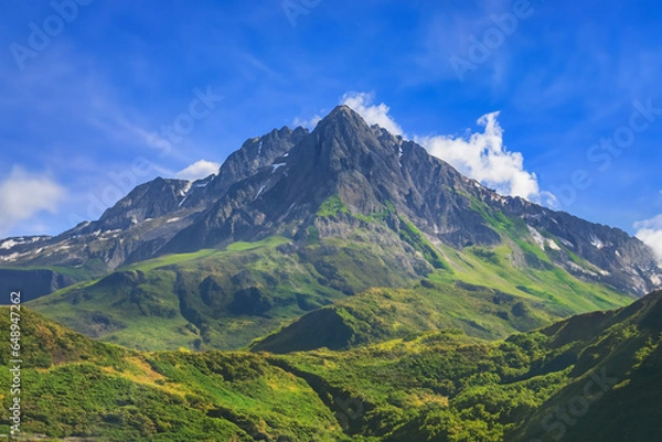 Fototapeta The Caucasus Mountains in Georgia stand tall and proud, their peaks piercing the clear blue sky, creating a breathtaking and serene landscape.
