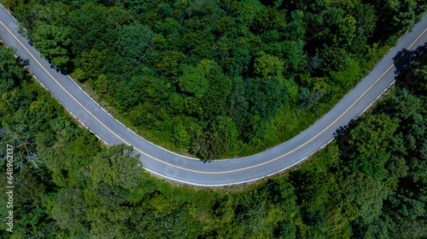 Fototapeta Aerial top view of road in forest.Winding road through the forest.Ecosystem ecology healthy environment road trip. Forest ecosystem and health concept and background, texture of green forest.