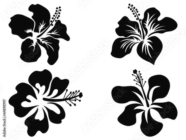 Obraz Hibiscus vector silhouettes