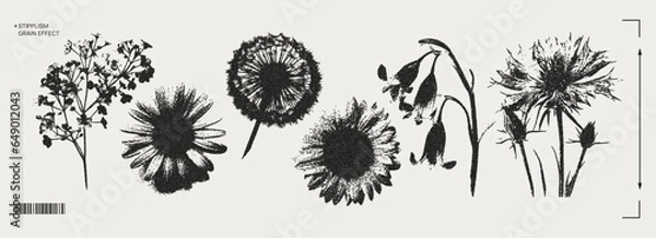 Obraz Trendy elements with a retro photocopy effect. y2k elements for design. Flowers, chamomile, sunflower, dandelion. Grain effect and stippling. Vector dots texture.
