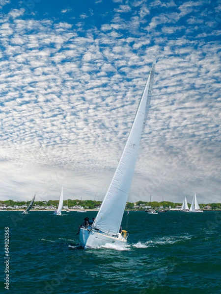 Obraz Sailboats under sail off Cape Cod