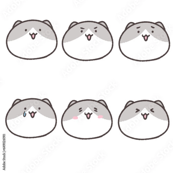 Fototapeta 猫の表情