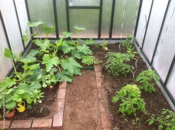 Fototapeta gartengewächshaus