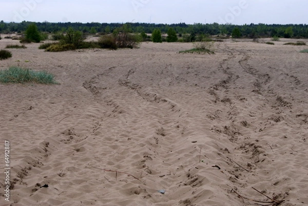 Obraz pustynia błędowska