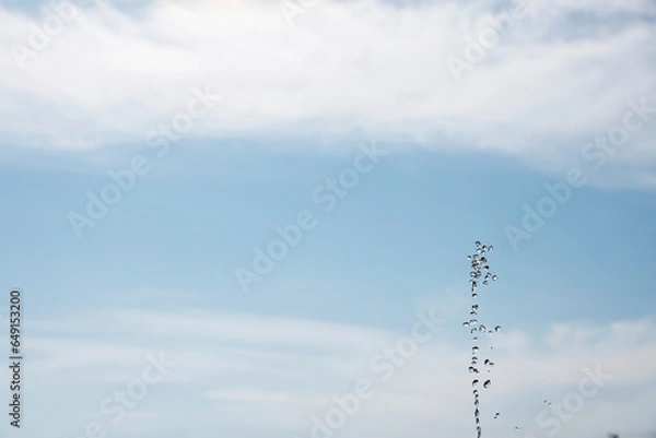 Fototapeta 空と水