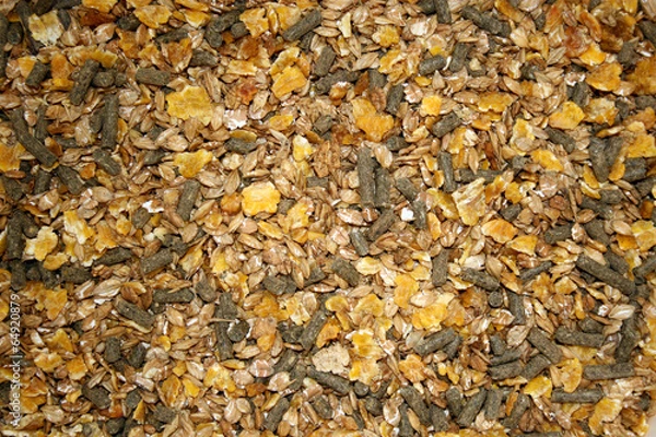 Obraz Karma dla koni