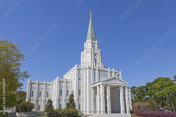 Obraz The Houston Texas Temple