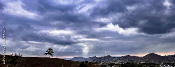 Fototapeta The scenic view of tea gardens in Hangzhou, China, under dark and overcast skies with heavy clouds