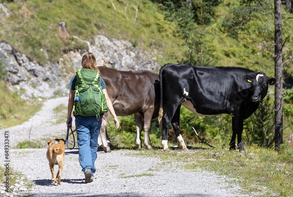Obraz Bergwanderung mit Hund