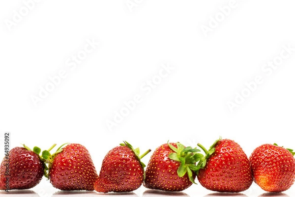 Obraz Red strawberries in a row over white