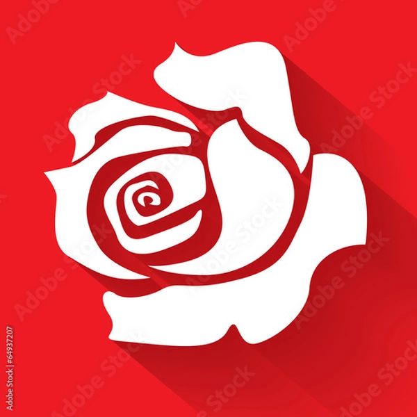 Fototapeta White rose on a red background, illustration