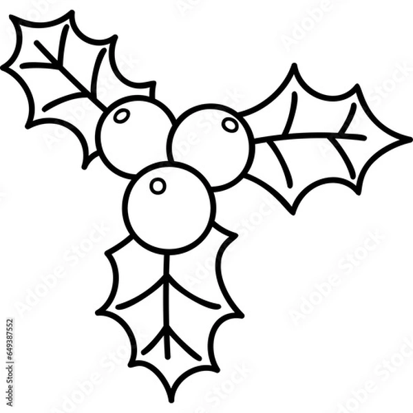 Fototapeta holly berries