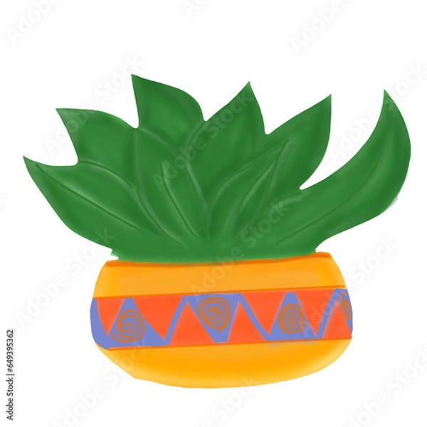 Obraz aloe vera plant