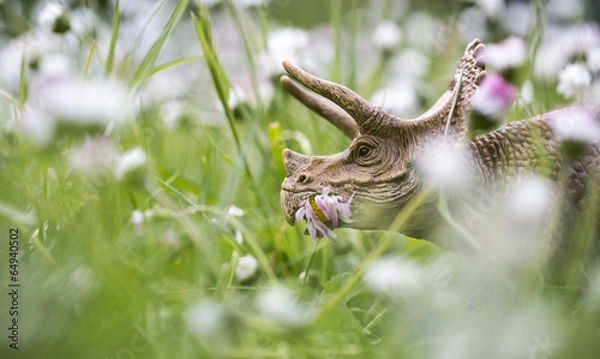 Fototapeta Triceratops