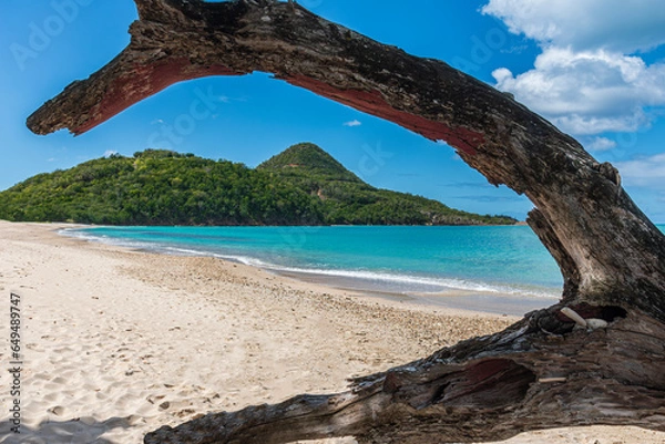 Fototapeta Scenic view of the tropical and wild landscape of Antigua.
