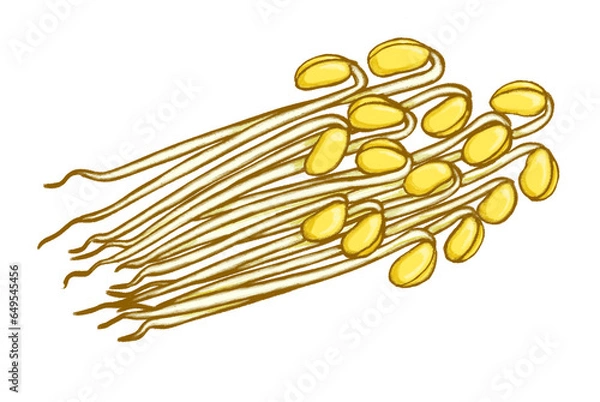 Obraz 豆もやしのイラスト