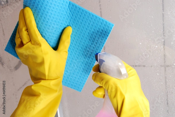 Obraz Frühjahrsputz