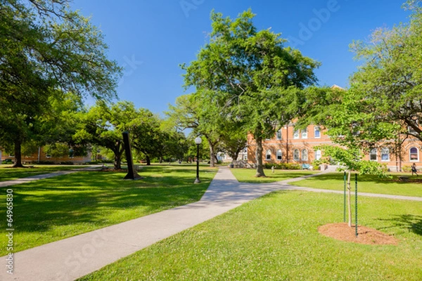 Obraz Kampus uczelni