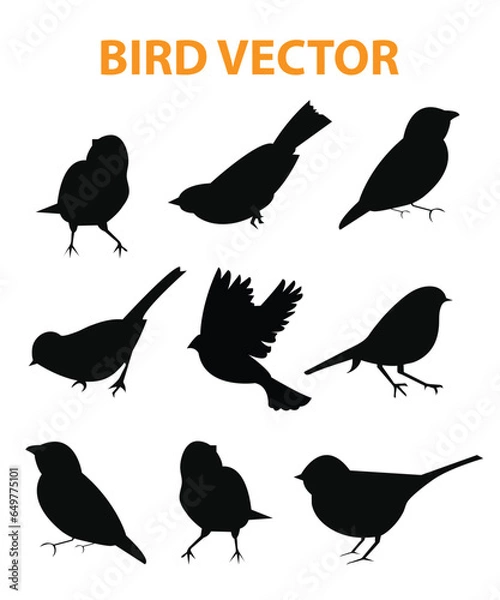 Fototapeta Sets of silhouette birds flying icon, in various species and action expression, create by vector