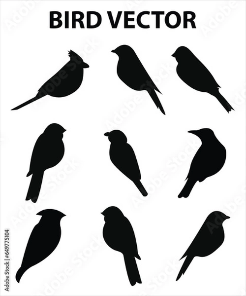 Fototapeta Sets of silhouette birds flying icon, in various species and action expression, create by vector